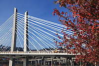 Tilikum Crossing, Portland's New Transit Bridge 