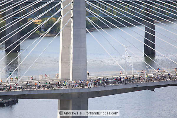 Tilikum Crossing, Bridge Pedal 2015, from Marquam Bridge (Portland, Oregon)