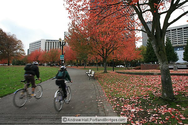 Tom McCall Waterfront Park, Fall Leaves, Cyclists (Portland, Oregon)