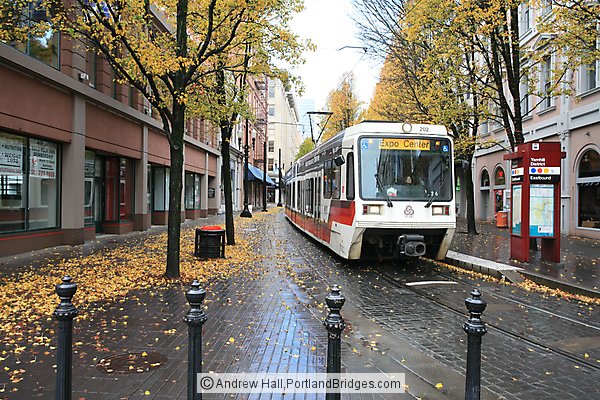 Portland MAX, Fall Leaves