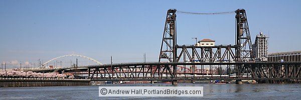 Steel Bridge, MAX Train, Amtrak Train (Portland, Oregon)