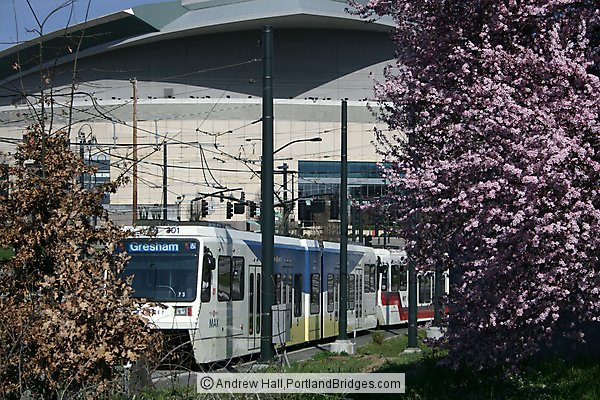 Spring Blossoms, MAX Train, Moda Center (former Rose Garden Arena) (Portland, Oregon)