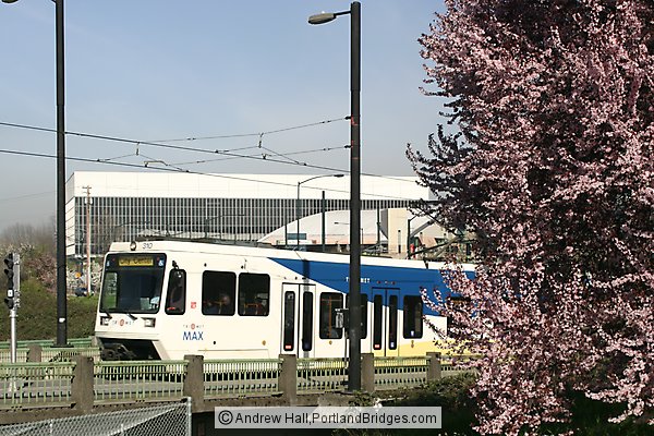 MAX Train, Rose Quarter, Spring Blossoms