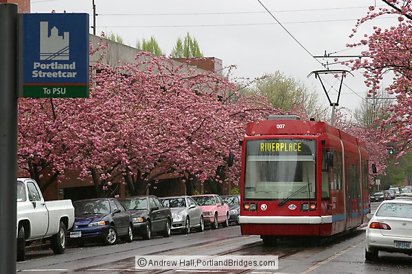 Portland Streetcar, Spring Blossoms, Rain
