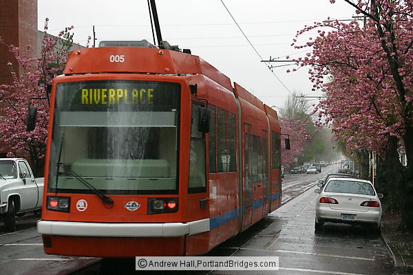 Portland Streetcar, Spring Blossoms, Rain