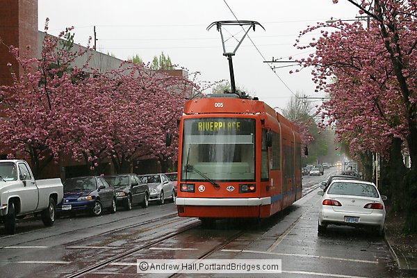 Portland Streetcar, Spring Blossoms, Rain