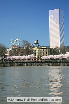 US Bancorp Tower, Portland, Oregon Sign, Waterfront Blossoms