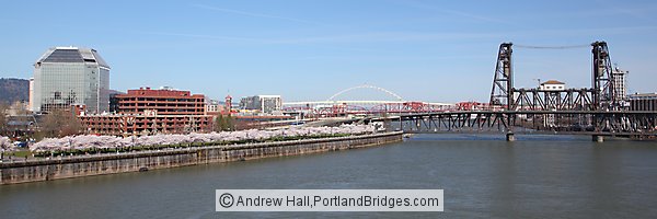 Portland Steel Bridge, Cherry Blossoms, Panorama