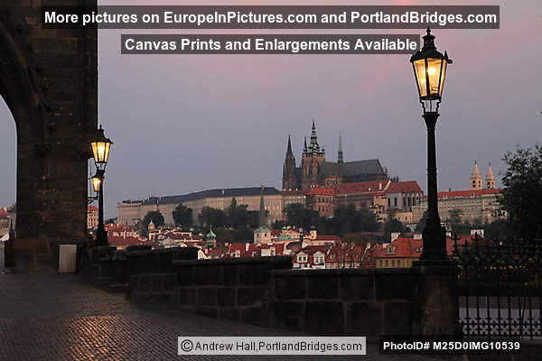 Prague Castle, Cathedral, Morning, from Charles Bridge
