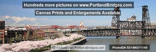 Waterfront Blossoms, Steel Bridge, Willamette River (Portland, Oregon)
