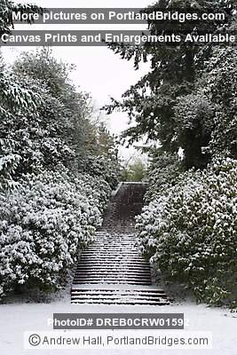 Portland Snow, Lauelhurst Park