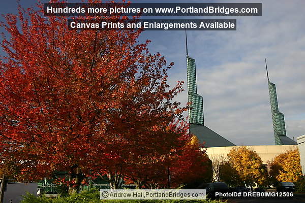 Oregon Convention Center Entrance,  Fall Leaves (Portland, Oregon)