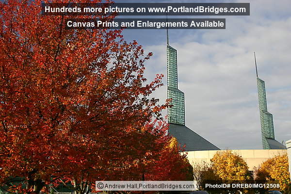 Oregon Convention Center Entrance,  Fall Leaves (Portland, Oregon)