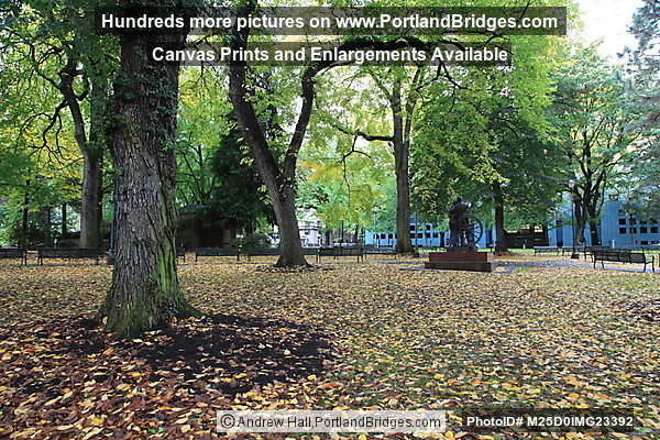 Chapman Square, Fall Leaves (Portland, Oregon)