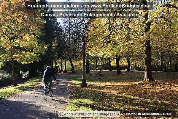 Laurelhurst Park, Fall Leaves (Portland, Oregon)