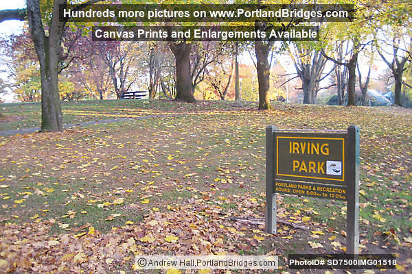 Irving Park, Irvington, NE Portland, Fall Leaves