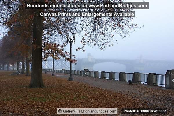 Burnside Bridge, Tom McCall Waterfront Park, Fall Leaves (Portland, Oregon)