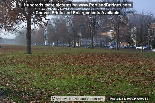 Tom McCall Waterfront Park, Fall Leaves (Portland, Oregon)