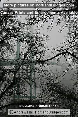 Fog (Portland, Oregon)
