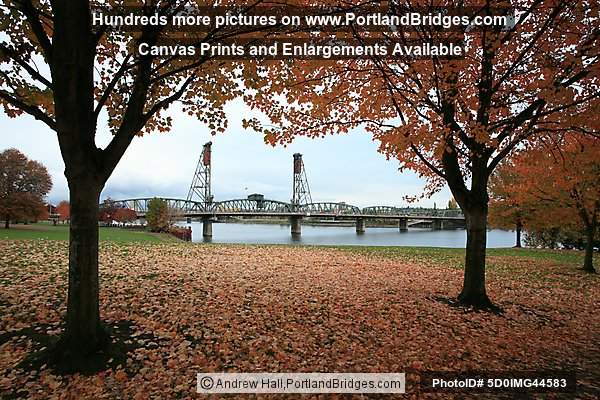 Fall Leaves, Hawthorne Bridge, Waterfront Park (Portland, Oregon)