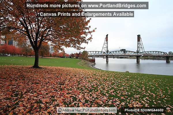 Hawthorne Bridge, Fall Leaves, Tom McCall Waterfront Park (Portland, Oregon)