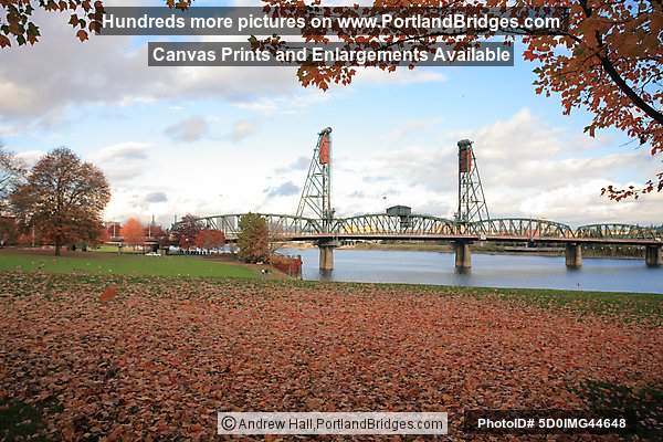 Fall Leaves, Hawthorne Bridge, Tom McCall Waterfront Park (Portland, Oregon)