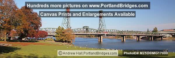 Hawthorne Bridge, Fall Leaves, Tom McCall Waterfront Park (Portland, Oregon)