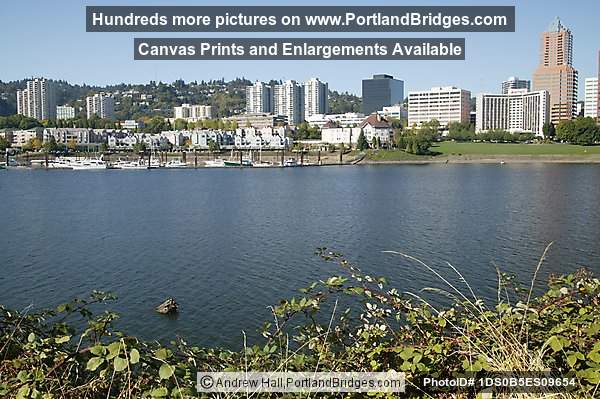 Willamette River, Riverplace (Portland, Oregon)