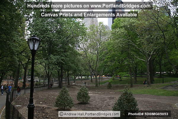 Central Park, New York City