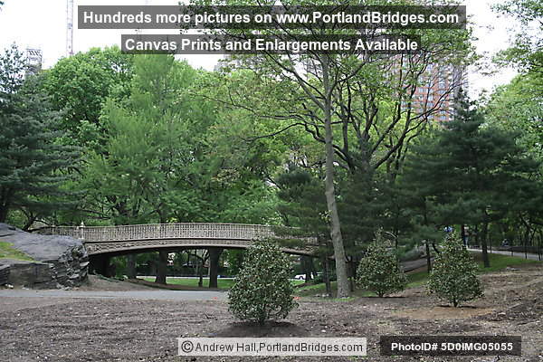 Central Park, New York City