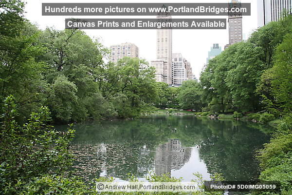Central Park, New York City
