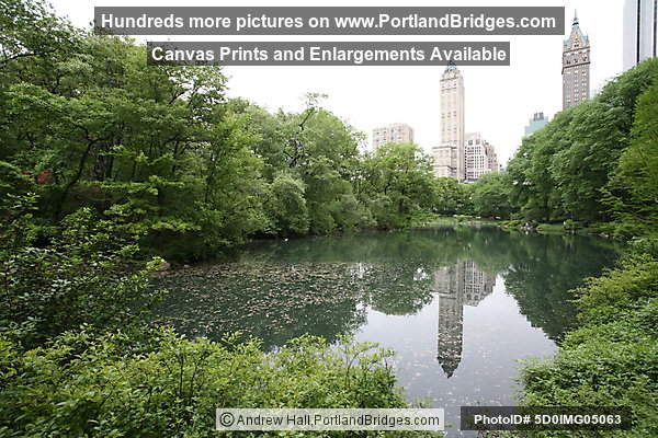 Central Park, New York City