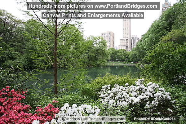 Central Park, New York City
