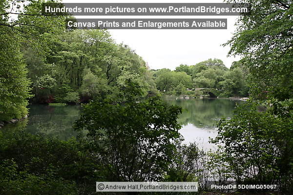 Central Park, New York City