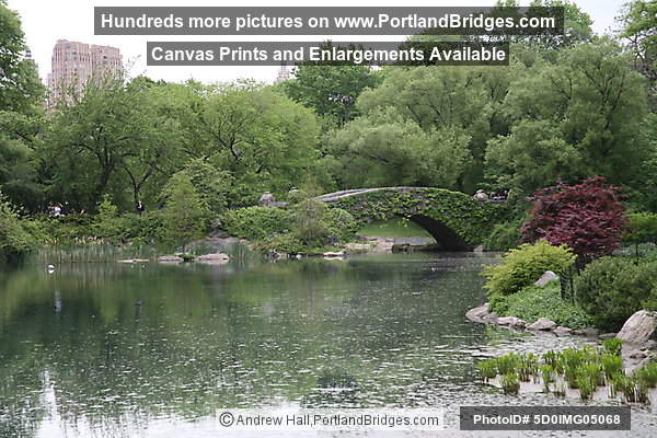 Central Park, New York City