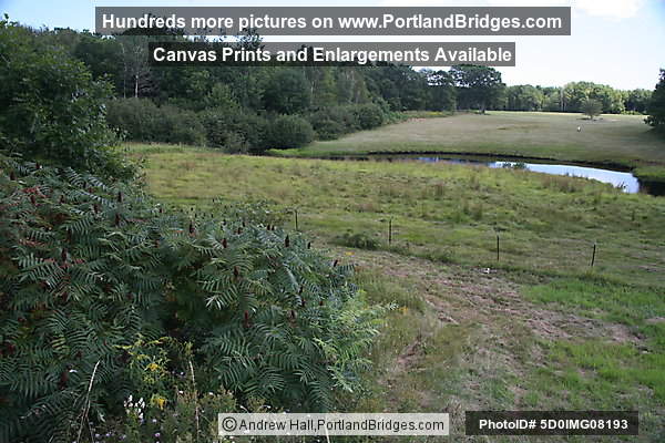 Maine Portland Peaks Island Saco Kennebunkport