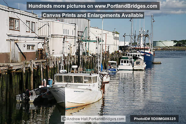 Portland, Maine Ferry Terminal