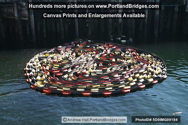 Fire Hose in Elliot Bay