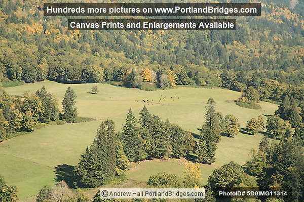 Columbia River Gorge