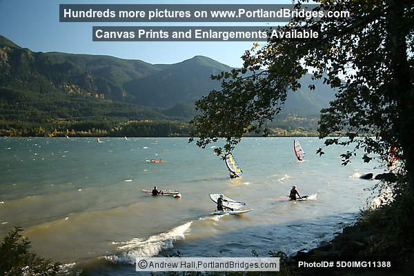 Columbia River Gorge, Windsurfers Stevenson, Washington