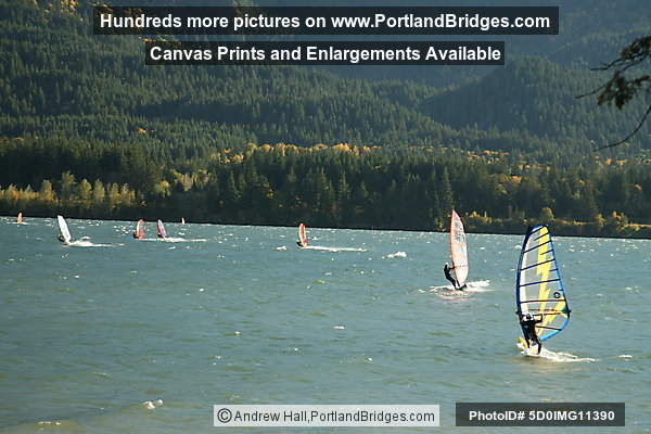 Columbia River Gorge, Windsurfers Stevenson, Washington