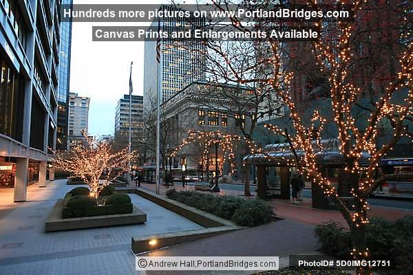 Portland Bus Mall (5th Ave), Dusk