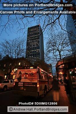 Portland Bus Mall (5th Ave), Dusk