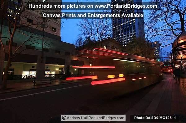 Portland Bus Mall (5th Ave), Dusk