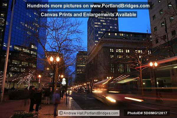 Portland Bus Mall (5th Ave), Dusk