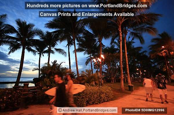 Waikiki, Oahu, Hawaii, Palm Trees, Dusk