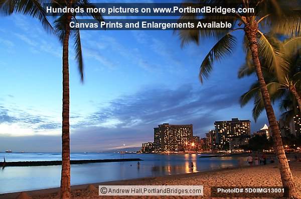Waikiki, Oahu, Hawaii, Palm Trees, Dusk