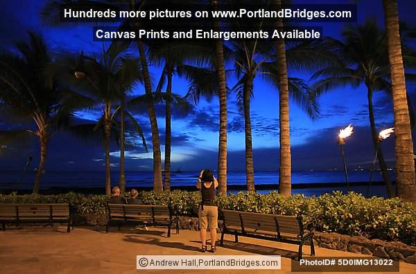 Waikiki, Oahu, Hawaii, Palm Trees, Dusk