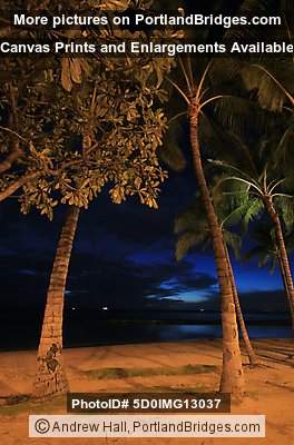 Waikiki, Oahu, Hawaii, Palm Trees, Dusk