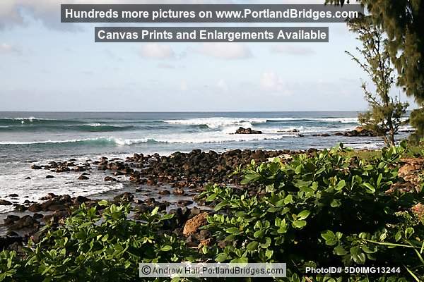 Oahu, Hawaii:  North Shore